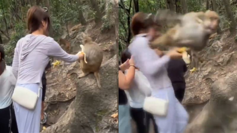 妹子拿香蕉逗弄獼猴！下秒被踹飛跌落山谷