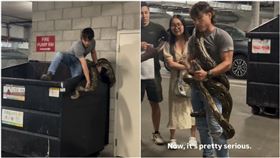 蟒蛇,巨蟒,棄養,玩具蛇,垃圾箱,捕捉,安置,美國（圖／翻攝自IG @reptile.hunter）