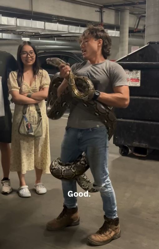 捕蛇專家哈特指出該蟒蛇有嚴重口腔感染問題，研判可能因此遭飼主棄養。（圖／翻攝自IG @reptile.hunter）