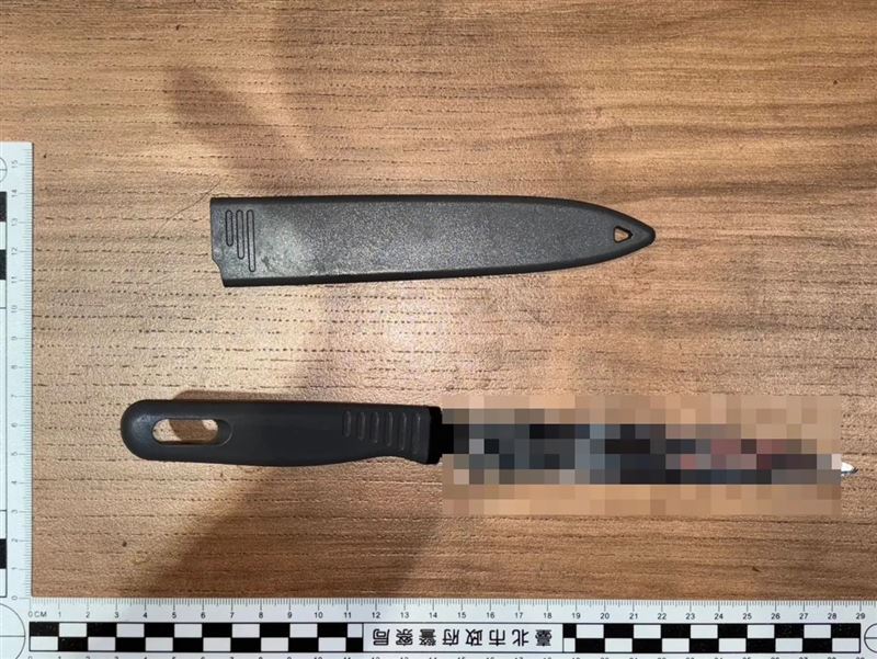 男子犯案用的兇刀。(圖/翻攝畫面)
