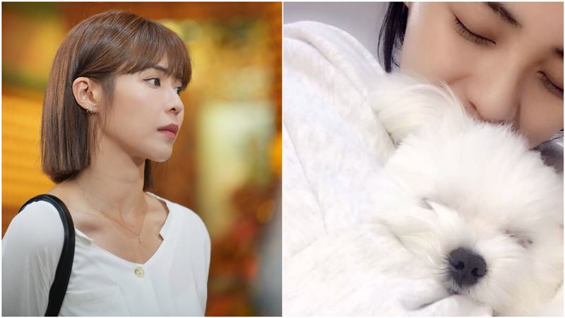 林萱瑜痛失摯愛情緒失控！招認不正常病倒