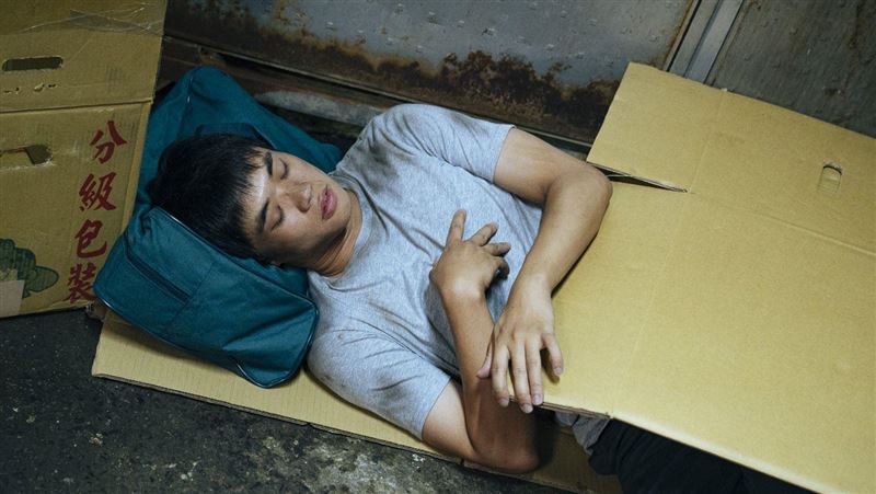 「天心兒」淒涼睡紙箱！被蛇爬滿身真嚇壞