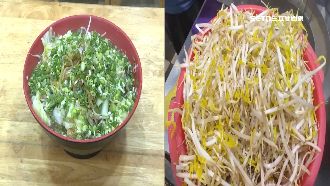 獨／無懼菜價天花板！滷味攤「加菜加滿」