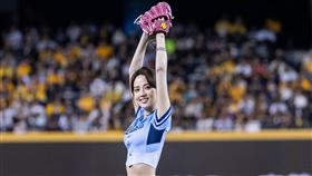 阿諾首次擔任開球嘉賓直呼緊張（圖／光意娛樂提供）