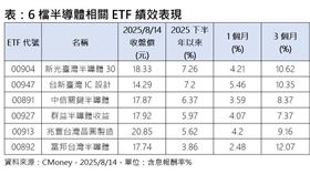 6檔半導體相關ETF績效表現。（圖／CMoney）