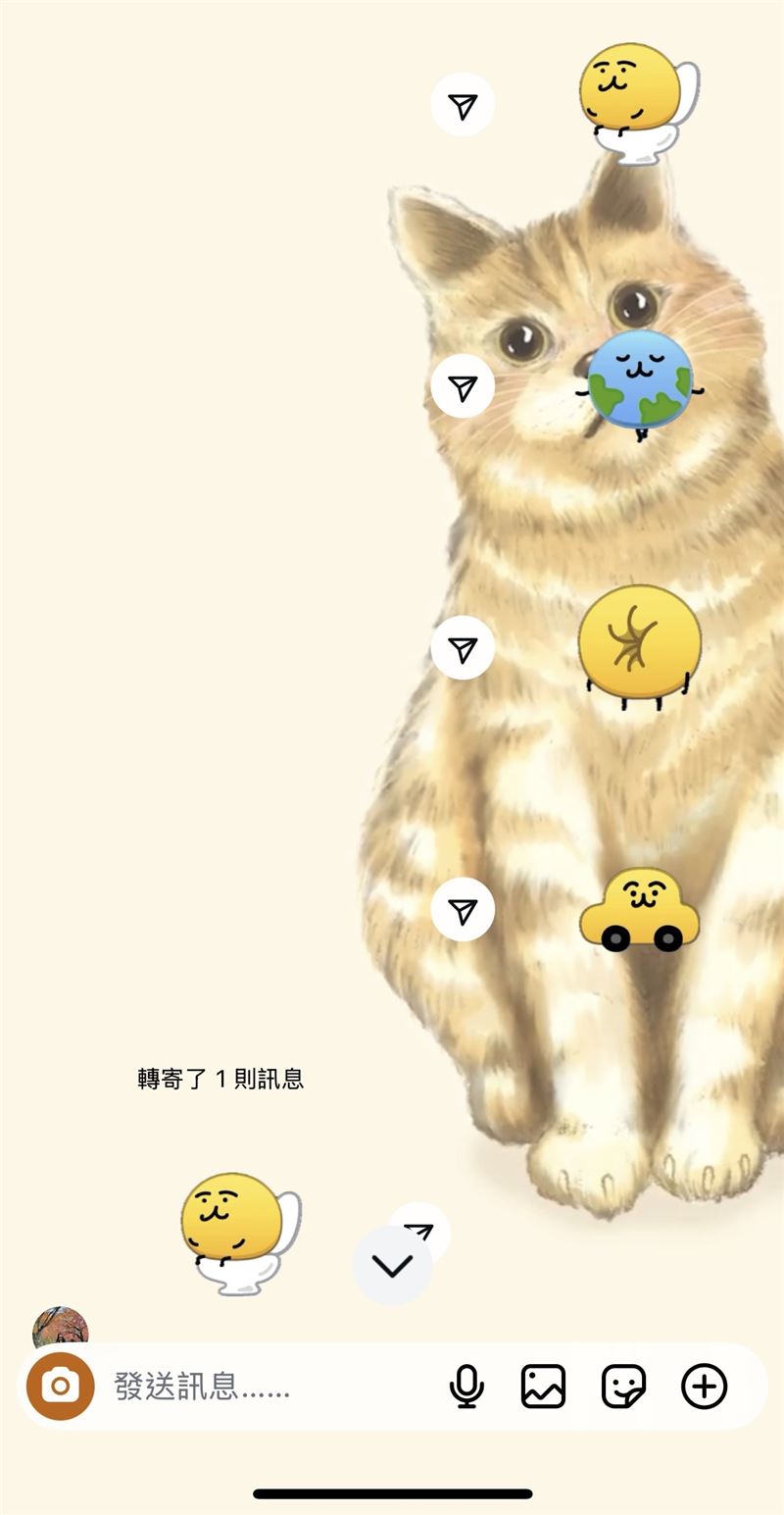 有網友發現，「小傢伙」表情貼可以在IG聊天室永久使用。（圖／記者朱祖儀攝影）
