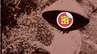 老照片故事／百年前採茶林志玲照片曝光