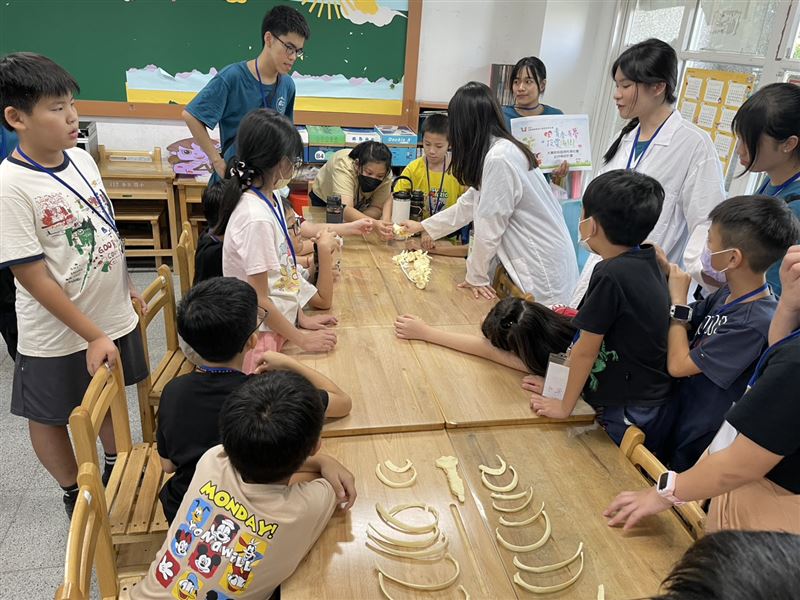 小小醫學營提供多元的課程,核心教案「豬心解剖」與「認識骨頭」讓孩子動手操作,深入了解人體構造與運作。(圖/馬偕醫學大學提供)