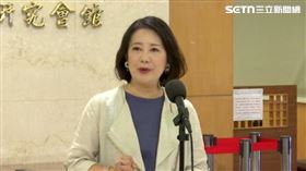 民進黨立法院黨團幹事長吳思瑤接受媒體聯訪回應時事。（圖／翻攝畫面）