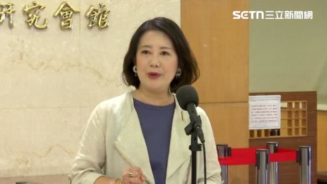 民進黨立法院黨團幹事長吳思瑤接受媒體聯訪回應時事。（圖／翻攝畫面）