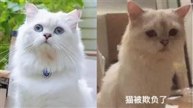 圖片描述。（圖／翻攝自微博）