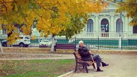 圖片描述。（圖／翻攝自pixabay）