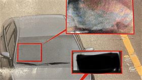 新北,安全帶,照片,規矩,隔熱紙,玻璃,駕駛座,乘客圖片描述。（圖／翻攝自「爆料公社公開版」臉書）