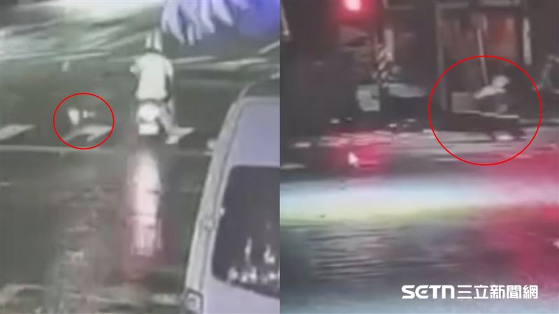 騎士行經路口時與對向路旁竄出的流浪貓相撞，形成「絕命交叉點」。（圖／翻攝畫面）