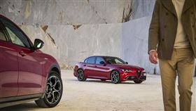 Alfa Romeo上半年銷售表現。（Alfa Romeo提供）