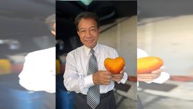 前台南市議長郭信良。（圖／翻攝自郭信良臉書）