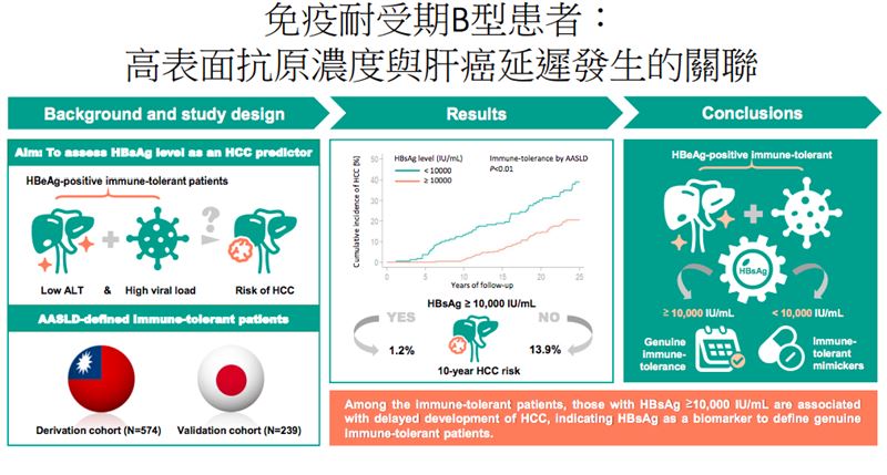 免疫耐受期B型患者:高表面抗原濃度與肝癌延遲發生的關聯。(圖/台大醫院提供)
