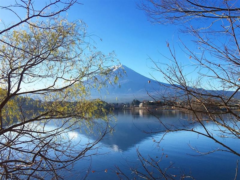 飯店IG貼文中湧入大量日文留言批評他亂砍樹，要郭亞川滾出日本。（圖／翻攝自IG