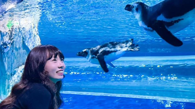 網瘋傳「台中海洋館免費入場」！真相曝光