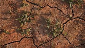 敘利亞面臨36年來最嚴重的乾旱，導致小麥產量下跌40%。（示意圖／PIXABAY）