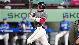 樂天桃猿林泓育單場雙安2打點。（圖／樂天桃猿提供） 