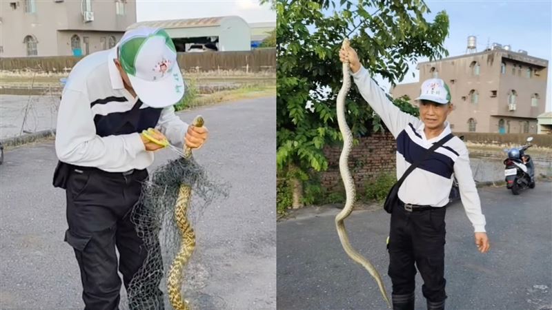 農田旁側溝內有一隻長2公尺臭青母被漁網纏繞受困，王金樹再度被召喚抓蛇。（圖／翻攝自蘇青癸臉書）