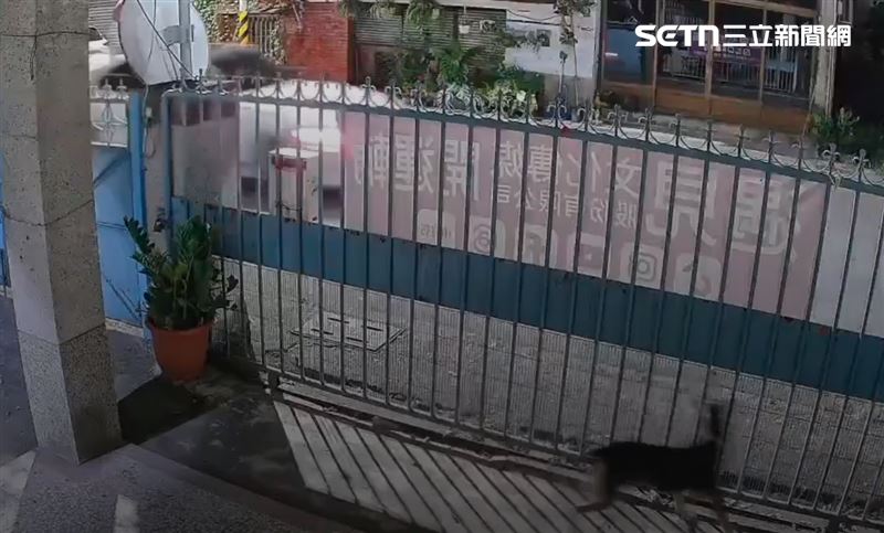 命理師不斷在自己平台誇耀這14 天以來瀏覽量已經累積超過一千萬次，遭質疑目的不單純。（圖／民眾提供）