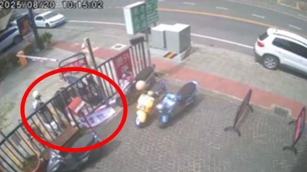 挺罷免布條三度被搶！罷團不忍了：將報案