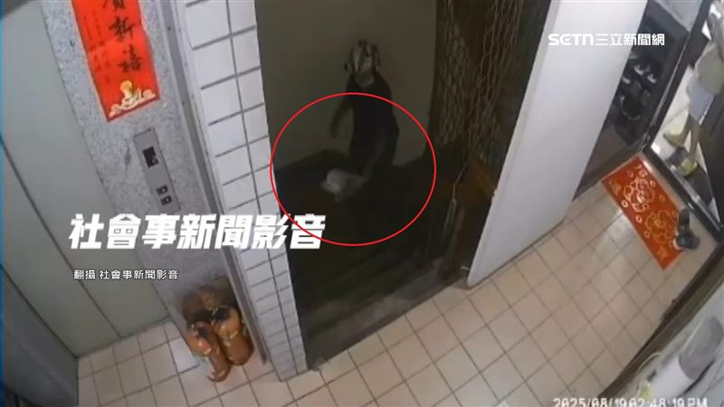 外送員直接將餐點丟在地板上