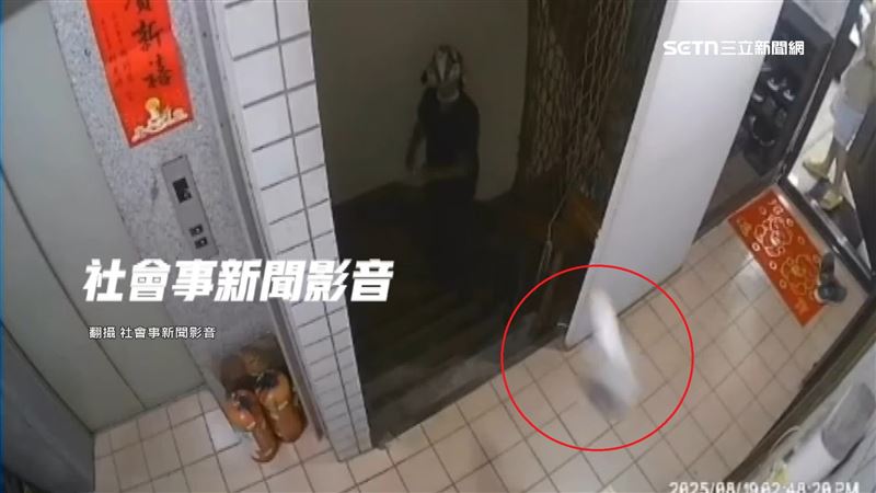 外送員送餐變砸餐　客追上理論竟嗆三字經
