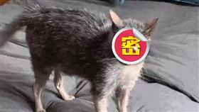 圖片描述。（圖／翻攝自微博）