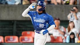 富邦悍將張育成。（圖／富邦悍將提供）