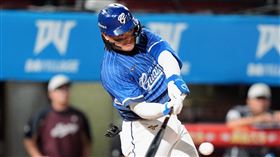 富邦悍將張育成。（圖／富邦悍將提供） 