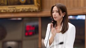 國民黨新北市議員江怡臻。（圖／翻攝自江怡臻臉書）