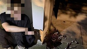 偷竊16公斤電纜線，莽賊翻越圍牆，躲草叢，警緊追緝捕，西屯區，水尾巷(圖／翻攝畫面)