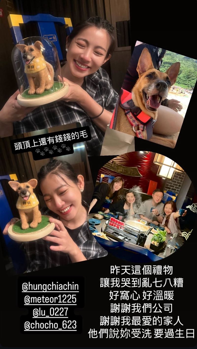 米可白愛犬錢錢以不同形式回到身邊。（圖／翻攝自米可白IG）