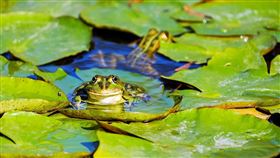 市場高度關注鮑爾演說，牽動未來降息時點與節奏，資金湧入債券型ETF，近一年罕見強勢回流態勢明顯，美債投資情緒翻轉，空頭轉為中性，信心逐步回溫。9月降息預期居高不下，投資人提前佈局債券資產。（示意圖／PIXABAY）