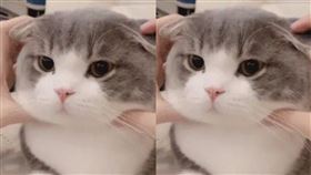 圖片描述。（圖／翻攝自微博）