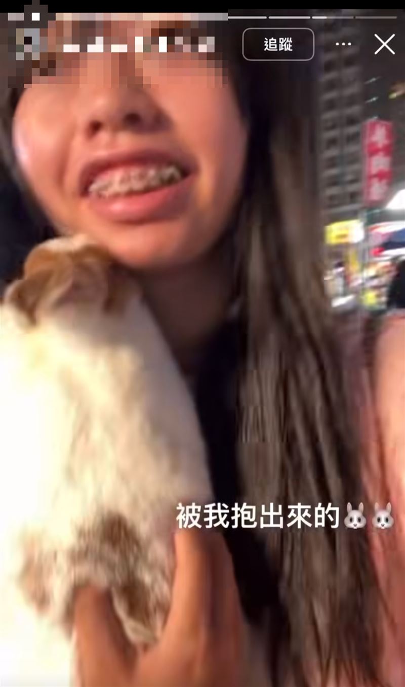 范女經常在未使用牽繩、外出籠的狀態下帶兔子出門。（圖／翻攝畫面）