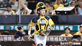 中職36年例行賽，中信兄弟捕手陳統恩。（圖／記者劉彥池攝影）
