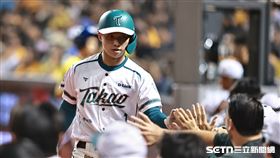 中職36年例行賽，台鋼雄鷹左外野手王柏融敲出安打送回曾子祐先馳得點。（圖／記者劉彥池攝影）