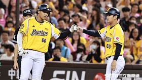 中職36年例行賽，中信兄弟三壘手黃韋盛敲出安打。（圖／記者劉彥池攝影）