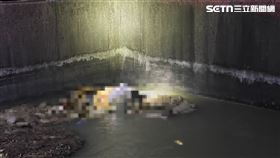 台南市,嘉南,大圳,官田區,身分,浮屍,救生艇,農田,水門,落水,溺斃圖片描述。（圖／翻攝畫面）