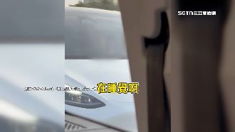 國道特斯拉「睡」前進　民眾直擊跟拍嚇壞