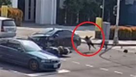 驚悚瞬間！開車沒在看闖紅燈撞死台中騎士（圖／翻攝畫面）