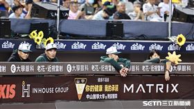 中職36年例行賽，台鋼雄鷹在休息區放太陽花和太陽玩偶。（圖／記者劉彥池攝影）