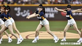 中職36年例行賽，中信兄弟「排球少年」主題日首日，臺北大巨蛋湧進31001人。（圖／記者劉彥池攝影）