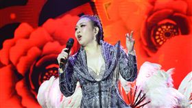 張秀卿在台南舉辦個人演唱會。（圖／名人演藝事業 提供）