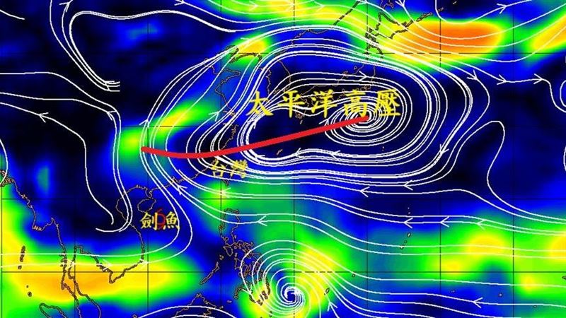 劍魚結構完整!鄭明典:1情況恐影響台灣
