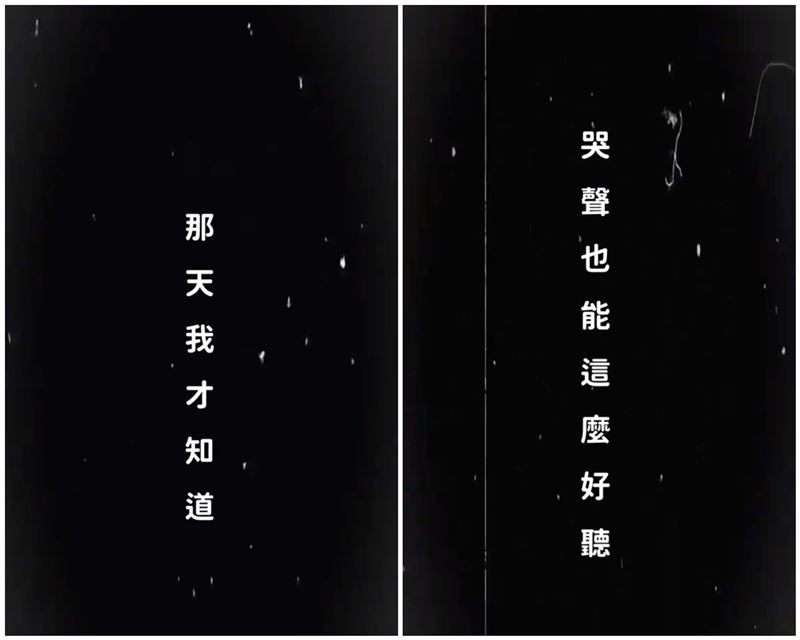 Nick在社群平台公布自己當爸的好消息。（圖／翻攝自TikTok）